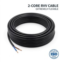 60227 300V 0,75mm² 1mm² 1,5mm² 2,5mm² 2 3 4 5 Adriges Kupfer-Litzenkabel Flexibles PVC-Isoliertes RVV-Kabel Elektrisches Stromkabel