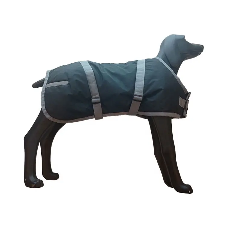 Magnifique veste d'hiver pour chien, manteau imperméable en Nylon pour chien