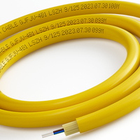 Câble Optique Intérieur G.652D Monomode à Gaine Serrée 4, 6, 8, 12, 24, 48 Cœurs, Gaine de Montante LSZH, Distribution de Fibre OS2, Vente en Gros