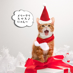 Ensemble chapeau et écharpe de Noël pour chats, chiens, petits animaux, vêtements d'hiver décoratifs pour animaux de compagnie - Product Image 1