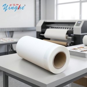 White PET DTF <b>Film</b> 30CM/60CM Double Sided Heat Transfer <b>Film</b> Digital Printing Material Roll for Transfer Printing - Product Image 1