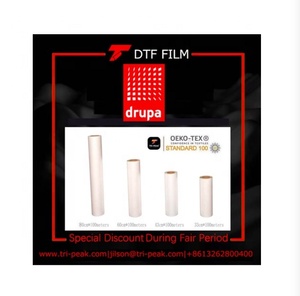 80cm * 100 metri <span class=keywords><strong>di</strong></span> trasferimento <span class=keywords><strong>di</strong></span> calore PET DTF pellicola per DTF stampa Warmteoverdrachtsfolie Pc DTF cile I3200 E-620 Max - Product Image 5