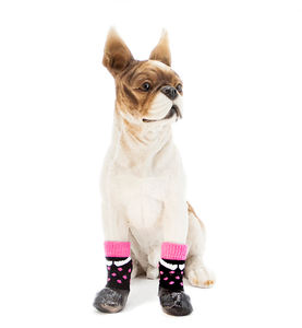 4 antiscivolo materiale TPU trasparente impermeabile zampa cane scarpe pioggia cane stivali - Product Image 2