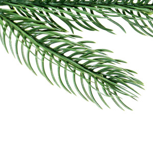 Hot Bán Giáng Sinh Trang Trí Nhân Tạo Pe Giáng Sinh Cây Thông Kim Chi Nhánh Pe Chi Nhánh Cho Picks - Product Image 2
