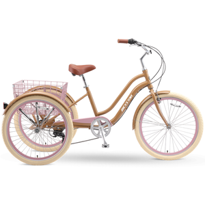 Remolque de Carga Ce Barato, <span class=keywords><strong>Triciclo</strong></span> de 3 Ruedas con Motor de 250cc, Bicicleta, <span class=keywords><strong>Triciclo</strong></span> con Cabina de <span class=keywords><strong>1000cc</strong></span> y 3 Ruedas - Product Image 4
