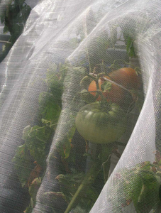 ตาข่ายกันแมลง HDPE สำหรับป้องกันตัวเรือดบนต้นเชอร์รี่ ป้องกันแมลงในสวนผลไม้ ตาข่ายป้องกันแมลงสำหรับสวนผลไม้ - Product Image 3