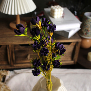 Flores de Pistacho Secas al por Mayor, Vainas de Pistacho Naturales Reales, Flores Secas para Decoración de Bodas y Navidad - Product Image 4