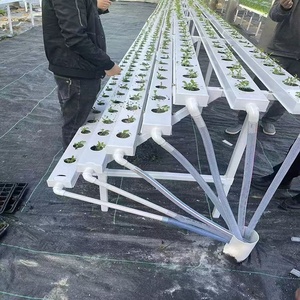 Equipo de Cultivo Hidropónico Vertical de Alta Productividad para Cultivo de Hongos en Interiores, Tubo NFT, PP de Grado Alimenticio, 5 Capas, Tamaño Personalizable - Product Image 1