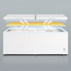 Congélateur <span class=keywords><strong>coffre</strong></span> commercial Rebirth ETL, congélateur compact polyvalent à dessus plein, 65 pouces de large, 18 pieds cubes Pieds Porte pleine avec paniers de rangement - Product Image 1