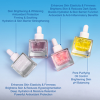 Kit visage personnalisé estompe les cicatrices d'acné kit de sérum visage blanchissant à la tomate blanche cerise nourrissant et raffermissant