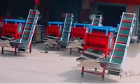 Ensemble de machines de tri pour l'ail