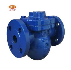 FT44 Schwimmer dampf fallen ventil - Product Image 4