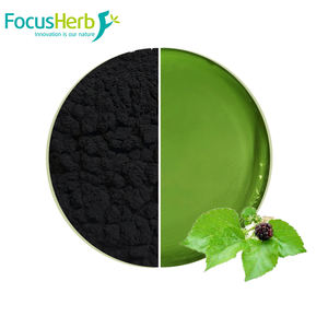 Polvo de extracto de hoja de morera verde oscuro de pigmento Natural de grado alimenticio FocusHerb 95% clorofilina de cobre sódico - Product Image 1
