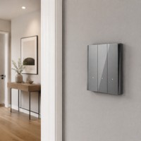 Prise murale à câblage rapide, sans fil neutre requis, panneau en verre trempé, prise standard européenne avec double ports USB-C, CE TUV