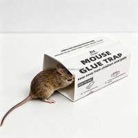 Piège à colle solide OEM pour souris et rongeurs, en ABS, pour usage domestique, contrôle des animaux, répulsif contre les insectes et les nuisibles