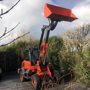 Everun CE ER1500F 1,5ton mesin kecil dengan penyapu mesin impor ember diesel kompak teleskopik roda pemuat mini - Product Image 2