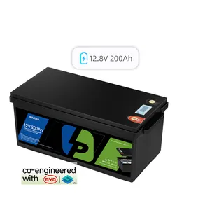 Byd Lifepo4 Batterie Batterie de stockage d'énergie Lifepo4 48v Eu Stock Lifepo4 Chariot élévateur de chariot de golf Packs de batterie - Product Image 1