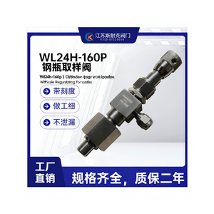 Vanne d'échantillonnage cylindrique Wl24h-160p avec régulation de précision graduée pour bouteille de gaz - Product Image 3