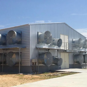 1000 tavuk yeni durum için hava koşullarına dayanıklı galvanizli çelik çerçeve ile büyük kapasiteli tavuk kümesi ev - Product Image 4