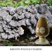 Extrait de Trametes Versicolor en poudre, extrait de champignon Queue de dinde, riche en polysaccharides et PSP, matière première de qualité alimentaire