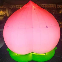 Grand gonflable personnalisé en forme de pêche avec lumières LED, 5m, étanche, durable, pour la décoration de fêtes et les événements publicitaires