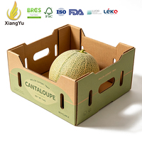 Plateau d'exportation personnalisé Xiangyu pour melons, boîte à fruits ondulée pour le stockage, l'expédition et la distribution de cantaloupes frais