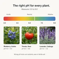 Testeur de sol 6-en-1 rechargeable, moniteur de sol de jardin avec mesure de l'humidité, du pH, de la température (en degrés Celsius), de la luminosité et de la fertilité