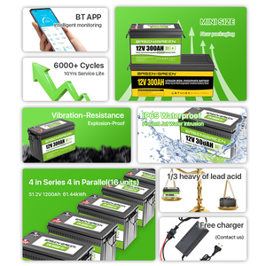 Basen Xanh EU cổ 12 V 100AH 200AH 300ah akku LiFePO4 pin Lithium ion chu kỳ sâu fot hệ thống năng lượng mặt trời 12 Vol Pin - Product Image 5