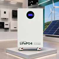 Batterie solaire empilable LiFePO4 16 kWh, directement de l'usine, 20-30 kW, plus de 8000 cycles à 80 % DOD pour les systèmes solaires hors réseau