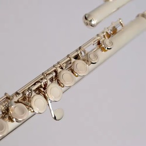<span class=keywords><strong>Flauta</strong></span> Dulce Plateada de Fábrica, Instrumento de Concierto, <span class=keywords><strong>Flauta</strong></span> <span class=keywords><strong>Curva</strong></span> - Product Image 5