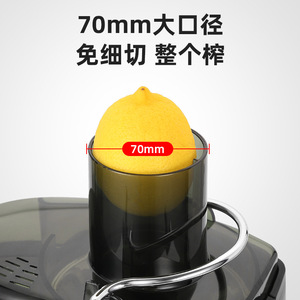 Extracteur de jus centrifuge multifonctionnel 4 en 1, électrique, pour fruits et légumes, avec séparateur de pulpe, fonction de pressage lent, robot culinaire - Product Image 2