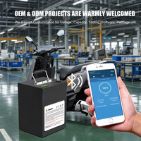Batterie Lithium-Ion LiFePO4 Personnalisée 72V 60V 30Ah 40Ah 50Ah à Décharge Profonde, Plus de 4000 Cycles, Haute Densité Énergétique, BMS Intégré pour