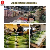 KUNJIN Volledig Automatische Verpakkingsmachine en Bandmachine voor Supermarkten met Peterselie Koriander Dille Broccoli OPP Desktop