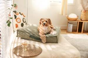 Cama para mascotas de lino de estilo moderno y lujoso, totalmente lavable, diseño cómodo con asa, colchón para perros - Product Image 5