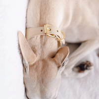 Accessoires pour chiens tendance, collier pour chat en cuir PU de luxe avec boucle en métal, collier pour chien en cuir végétalien