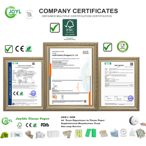 Sinh Thái Thân Thiện Với Dập Nổi Gỗ Bột Giấy Vệ Sinh Phòng Tắm Cá Nhân Đẹp Top Người Bán Giá Rẻ Nhất Jumbo Mẹ Cuộn Mô - Product Image 6