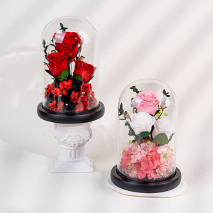 Rosa Preservada en Caja de Regalo con Tapa de Cristal Decorativa, Regalo para el Día de la Madre, San Valentín, Cumpleaños, Rosa Eterna Roja o Rosa - Product Image 1