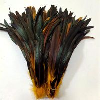 Plumes de queue de coq teintes de haute qualité, plumes de poulet colorées de 15 à 45 cm pour les décorations de carnaval et la couture de vêtements