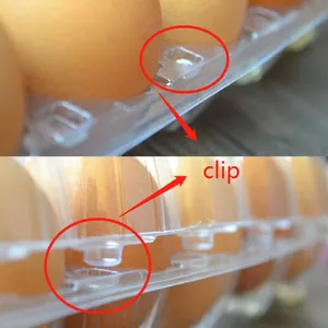 15 lỗ PVC PET trong suốt hình chữ nhật nhựa vỉ khay trứng nhựa Hộp trứng
