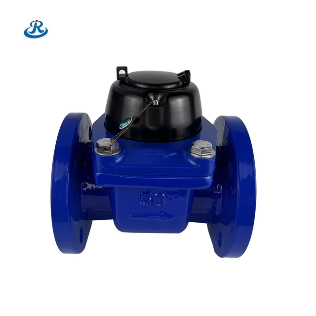 Pulse Output Water Meter Large Caliber Water Meter DN50mm
