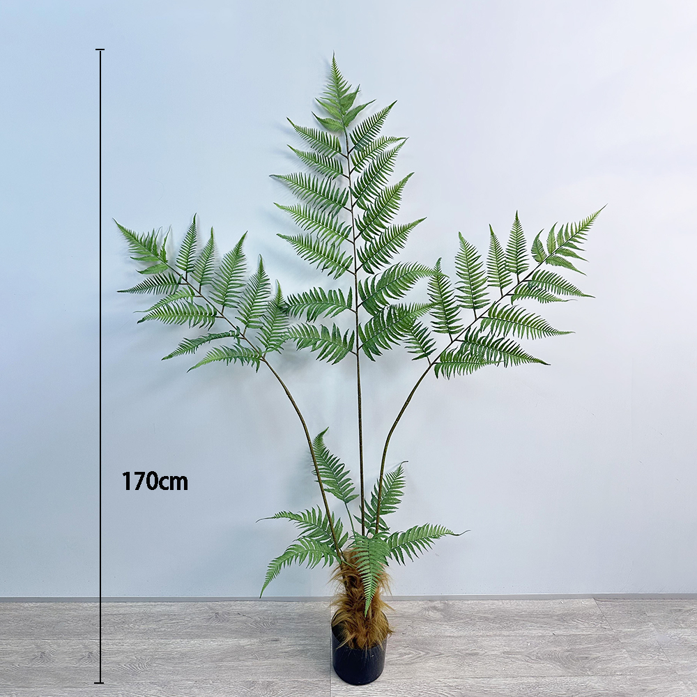 170cm(66.93in)