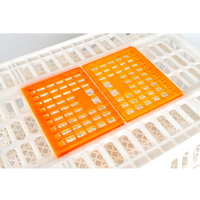 Cage à poulets empilable et durable Grande caisse en plastique pour poulet Boîte de transport pour poussins