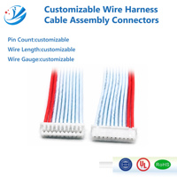 Câble adaptateur de faisceau de fils personnalisé JST MX1.25mm en cuivre étamé 2-16P 600V pour ordinateur, carte PCB, automobile, électronique
