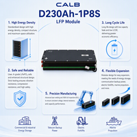 Module CALB D230AH-1P8S 25,6V 230Ah LiFePO4 5,88 kWh, série connectable aux systèmes de traction 51,2V 102,4V 300V