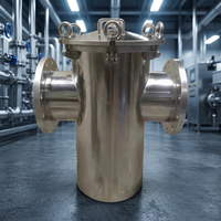 Filtre à panier de type T en acier inoxydable de qualité sanitaire 304 316L pour la filtration des particules métalliques amovibles dans les liquides