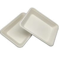 Emballage alimentaire biodégradables pour les aliments, plateau alimentaire de supermarché, charnue, pâte, assiette jetable, tasses et soucoupes, peint à la main
