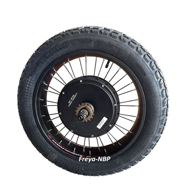 QS205 V3 50H Hub Motor 3T/3.5T/4T/5T 72V5000W 150/170/190mm 20"x4.0 Fat Tire Electric Bike Bicycle Hub Motor Wheel with Tyre