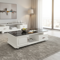 Table basse de salon avec panneau décoratif pour petites maisons, luxe moderne, nouveau mobilier 2025, acier inoxydable, marbre