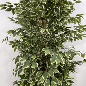 Bonsái Artificial de Plástico, Árbol de Banyan de Alta Calidad, Simulación de Árbol Verde en Maceta para Interiores, Sala de Estar, Jardín - Product Image 6