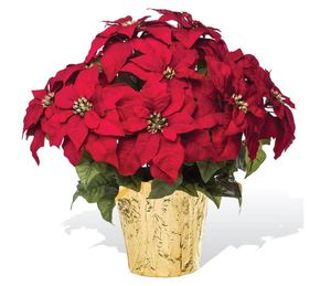 Flores artificiales <span class=keywords><strong>de</strong></span> Navidad, flores rojas <span class=keywords><strong>de</strong></span> 5 cabezas en macetas para decoración <span class=keywords><strong>de</strong></span> fiesta - Product Image 1